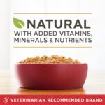 Purina ONE Chicken & Brown Rice Wet Dog Food, photo 4