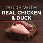 Purina ONE True Instinct Tender Cuts in Gravy Chicken & Duck Wet Dog Food, photo 4