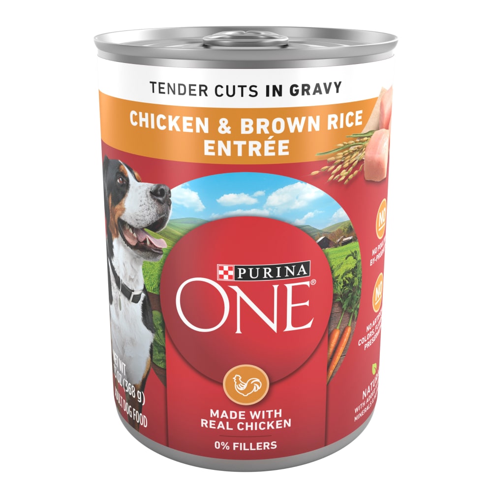 Purina ONE Chicken & Brown Rice Tender Cuts in Gravy Wet Dog Food