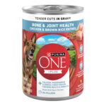 Purina ONE Chicken & Brown Rice Bone & Joint Wet Dog Food
