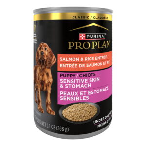 Purina Pro Plan Puppy Sensitive Skin & Stomach Salmon & Rice Entrée Classic Wet Dog Food