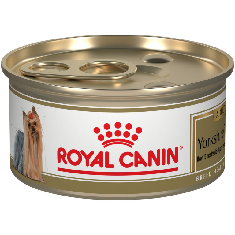 Royal Canin Breed Health Nutrition Yorkshire Terrier Adult Wet Dog Food