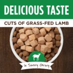 Instinct Original Healthy Cravings Toppers Real Lamb Recipe Dog Food Topper, photo 2