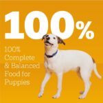 Pedigree Puppy Chopped Ground Dinner Can, Lamb & Rice Wet Dog Food, photo 3