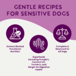 Health Extension Digestive Support, Chicken & Pumpkin Entrée in Gravy Wet Dog Food, photo 4