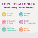 Health Extension Digestive Support, Chicken & Pumpkin Entrée in Gravy Wet Dog Food, photo 5