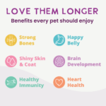 Health Extension Gently Air Dried Superfoods Salmon Recipe Dry Dog Food, photo 9