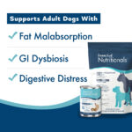 Fromm Gold Nutritionals Digestive Support Low Fat Pâté Complete Wet Dog Food, photo 7