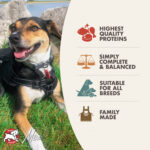 Fromm Classic Adult Turkey & Rice Pâté Wet Dog Food, photo 3