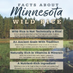 NutriSource Harvest Selects Northern Feast Wet Dog Food, photo 4