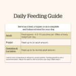 Now Fresh Chicken & Rice Ground with Grains Wet Dog Food, photo 5