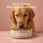Now Fresh Good Gravy Beef Minced Grain-Free Wet Dog Food, photo 4