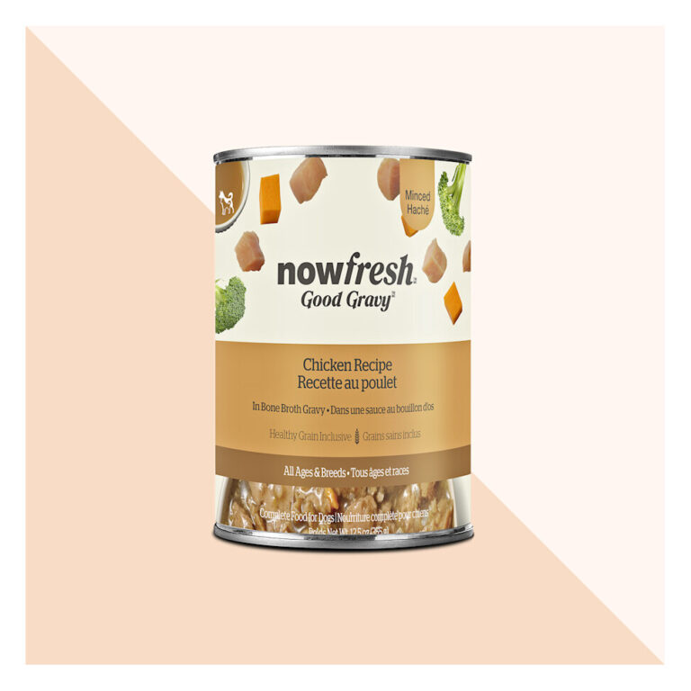 Now Fresh Good Gravy Chicken with Grains Wet Dog Food