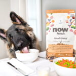 Now Fresh Good Gravy Cage Free Chicken Recipe Wet Dog Food, photo 7