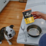 Go! Solutions Joint Care Minced Chicken with Gravy Grain-Free Dog Food Topper, photo 5