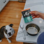 Go! Solutions Tranquility Minced Chicken with Gravy Grain-Free Dog Food Topper, photo 4