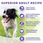 Halo Holistic Vegan Plant-Based Recipe Adult Grain-Free Wet Dog Food, photo 4