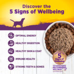 Wellness Complete Health Paté Chicken & Sweet Potato Wet Dog Food, photo 3