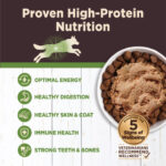 Wellness Core Digestive Health Lamb Wet Dog Food, photo 3