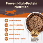 Wellness Core Turkey & Chicken Liver Grain-Free Wet Dog Food, photo 4