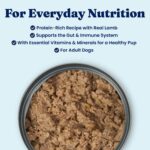 Solid Gold Hund-N-Flocken Lamb Wet Dog Food, photo 2