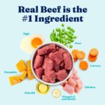 Solid Gold Nutrientboost Beef Meatball Wet Dog Food, photo 3