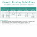 Rayne Nutrition Growth/Sensitive-GI Chunky Stew Wet Dog Food, photo 4