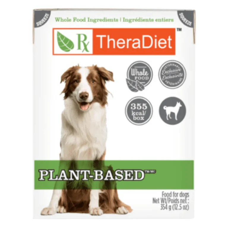 Rayne Nutrition Plant-Based Chunky Stew Wet Dog Food