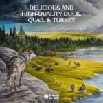 Taste of the Wild Wetlands Canine Recipe with Fowl in Gravy Dog Food Topper, photo 3