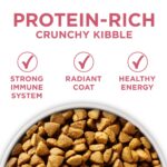 Purina ONE Skin and Coat Dry Dog Food, photo 3