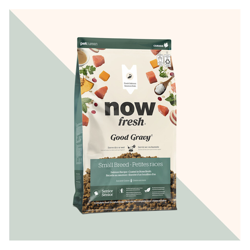 Now Fresh Good Gravy Small Breed Senior Salmon Dry Dog Food