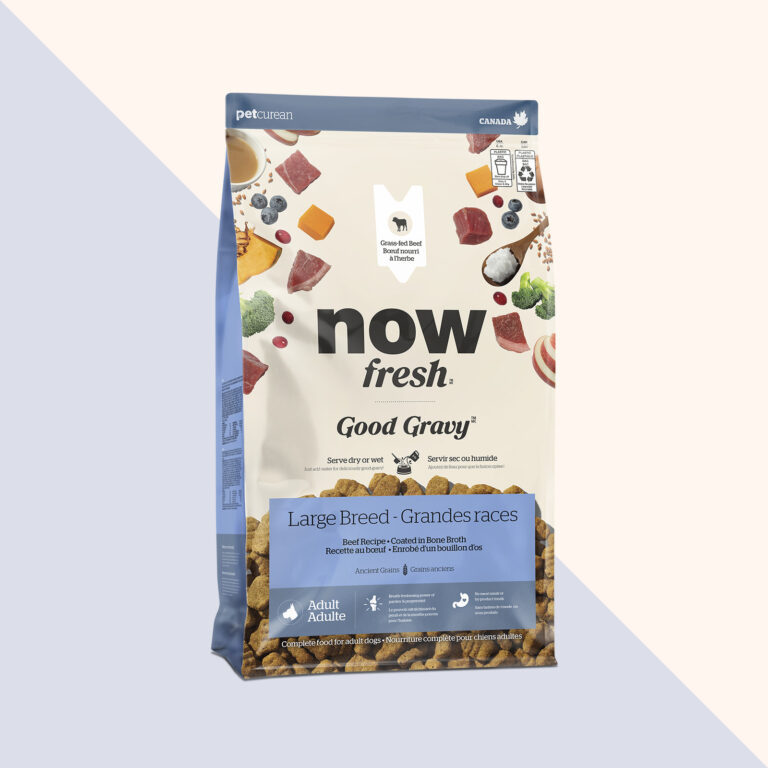 Now Fresh Good Gravy Large Breed Adult Beef Dry Dog Food