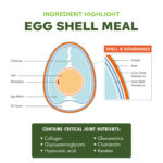 Fromm Nutritionals Mobility Chicken & Whole Oats Recipe Dry Dog Food, photo 4