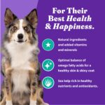 Halo Holistic Vegan Plant-Based with Kelp Recipe Adult Dry Dog Food, photo 8