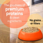 Canidae Pure Petite, Grain Free Chicken & Peas Pâté for Small Breed Dogs Wet Dog Food, photo 2