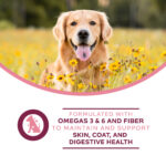 Fromm Gold Nutritionals Sensitive Skin and Stomach Complete Pâté Wet Dog Food, photo 3