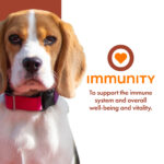 Fromm Nutritionals Immunity Supplement Pâté Dog Food Topper, photo 2