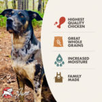 Fromm Four-Star Pâté Chicken & Rice Pâté Wet Dog Food, photo 3