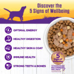 Wellness Complete Health Venison & Salmon Wet Dog Food, photo 2