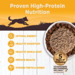 Wellness Core 95% Chicken & Broccoli Grain-Free Wet Dog Food, photo 2