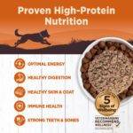 Wellness Core 95% Turkey & Spinach Grain-Free Wet Dog Food, photo 3