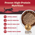 Wellness Core 95% Beef & Carrots Grain-Free Wet Dog Food, photo 2