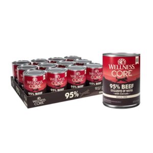 Wellness Core 95% Beef & Carrots Grain-Free Wet Dog Food