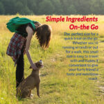 Inaba Churu Meal Chicken with Beef Recipe Grain-Free Dog Food Topper, photo 3