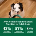 Nutro Natural Choice Adult Large Breed Dry, Salmon & Brown Rice Dry Dog Food, photo 4
