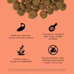 Go! Solutions Weight Management + Joint Care Salmon Grain-Free Dry Dog Food, photo 2