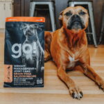Go! Solutions Weight Management + Joint Care Salmon Grain-Free Dry Dog Food