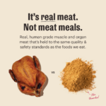 The Honest Kitchen Whole Food Clusters Grain Free Chicken Protein Plus Clusters Dry Dog Food, photo 3