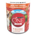 Purina ONE Lamb & Brown Rice Tender Cuts in Gravy Wet Dog Food
