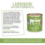 Weruva Dogs in the Kitchen Lamburgini Wet Dog Food, photo 8
